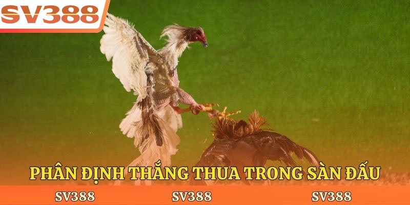 Phân định thắng thua trong sàn đấu