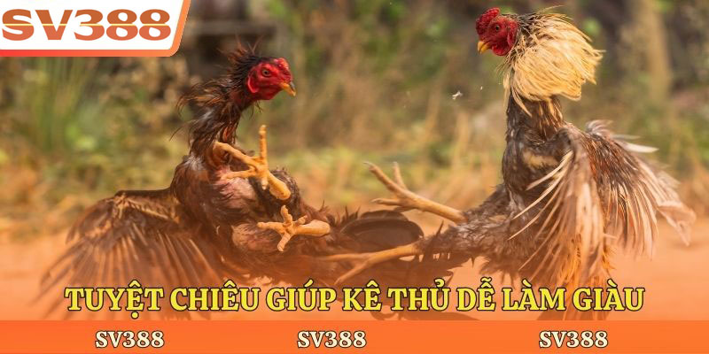 Tuyệt chiêu giúp kê thủ dễ làm giàu